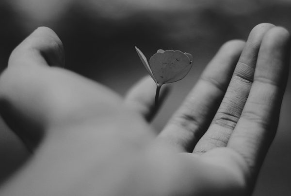 RFP Responses, hand holding a plant, leaf